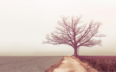 When your child is diagnosed with chronic illness