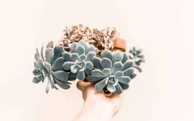 Healthy divorce: How to make your split as smooth as possible